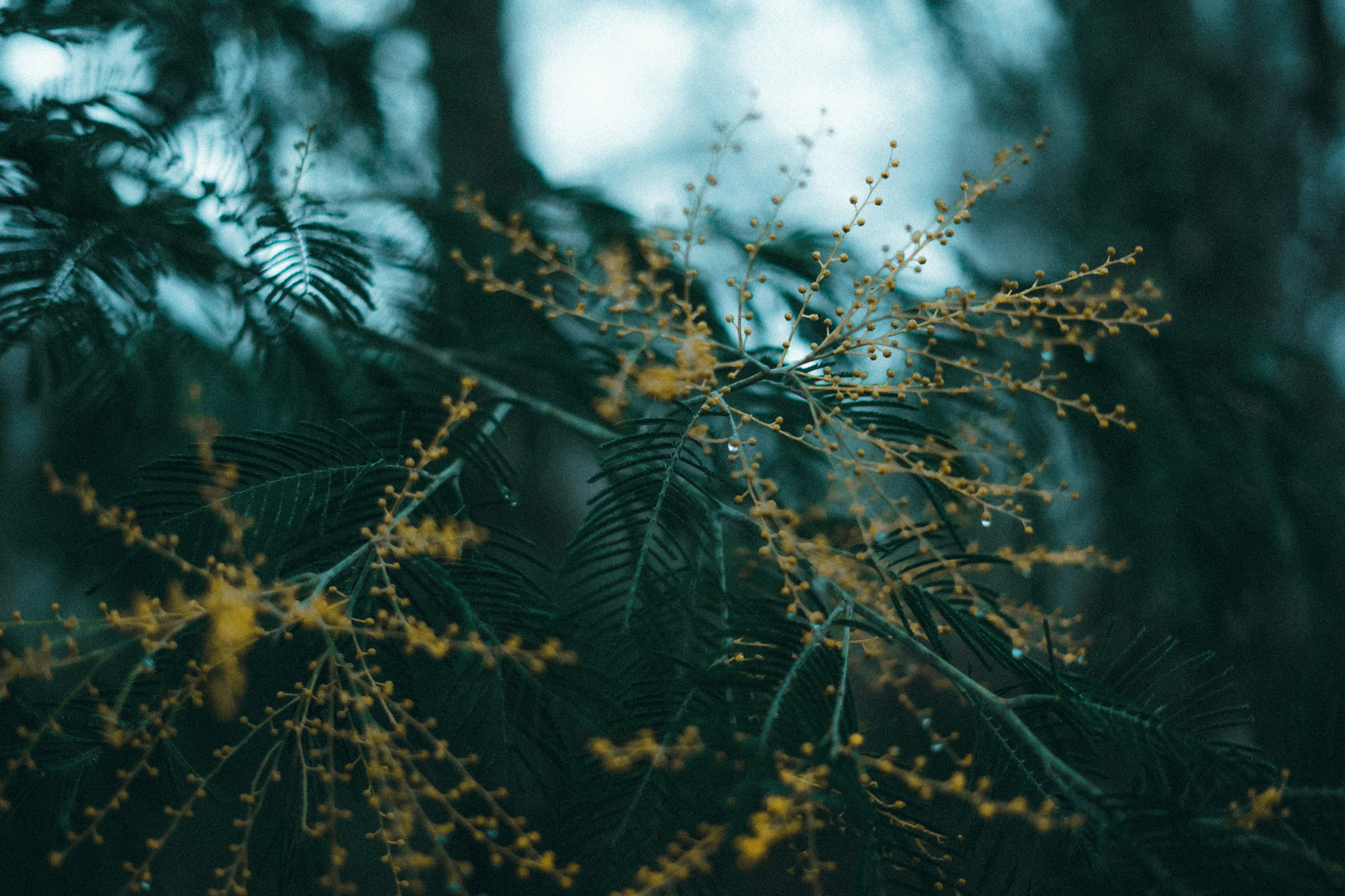 Photo by lawlesscapture