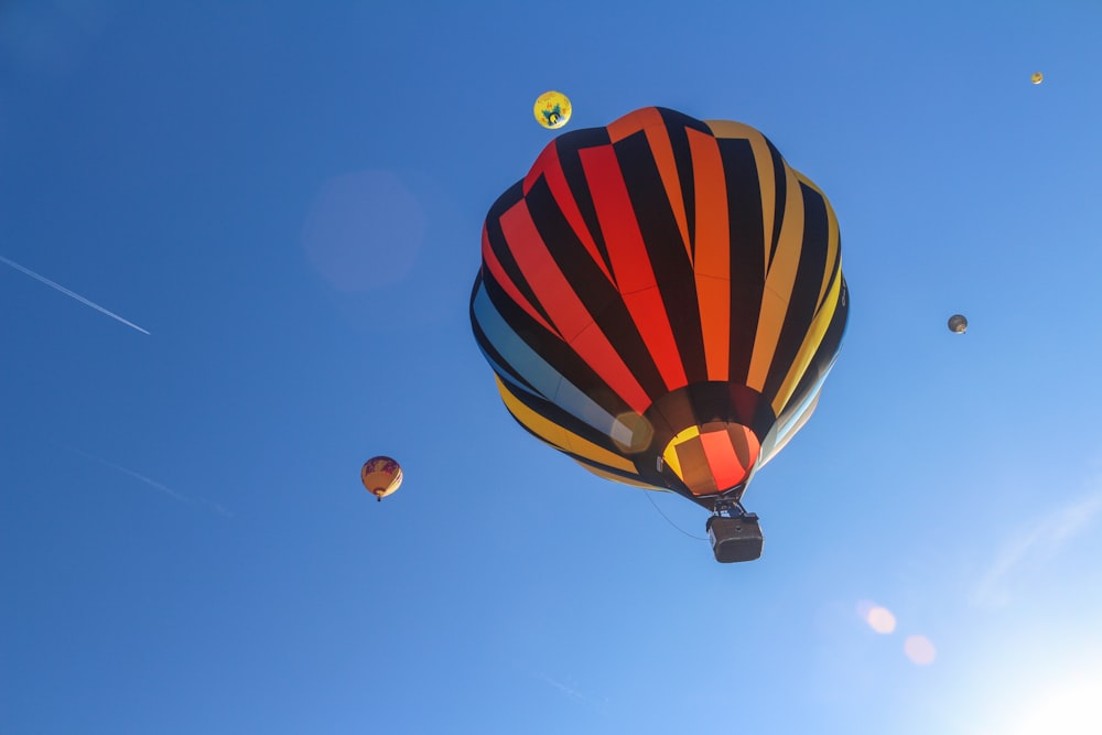 hot air balloons in the sky