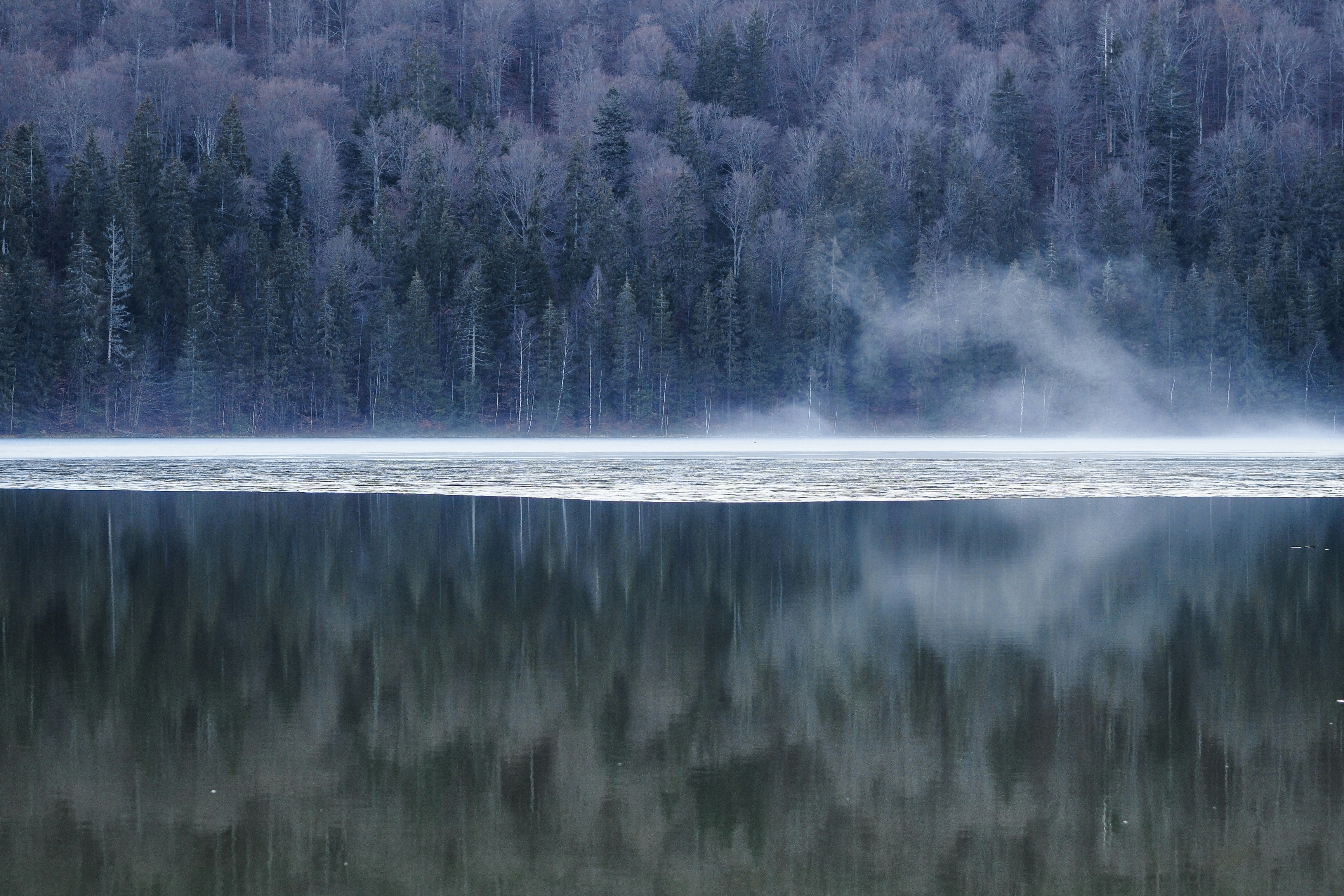 Photo by krowdeed
