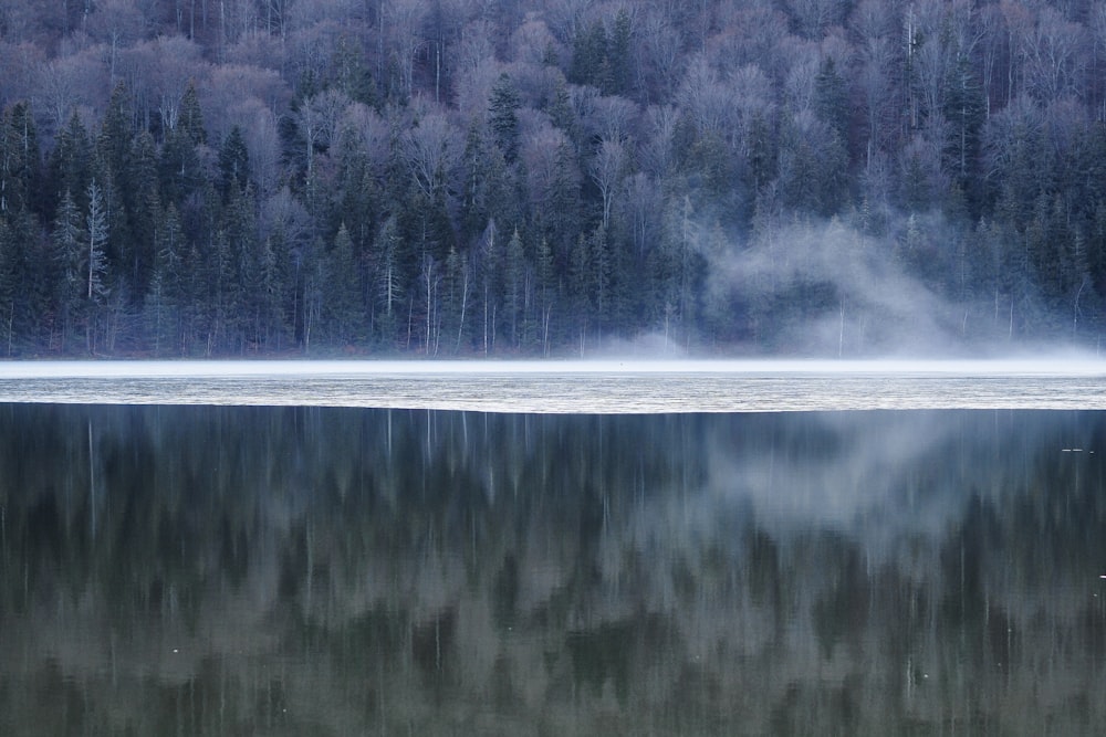 a boat floating on top of a lake next to a forest