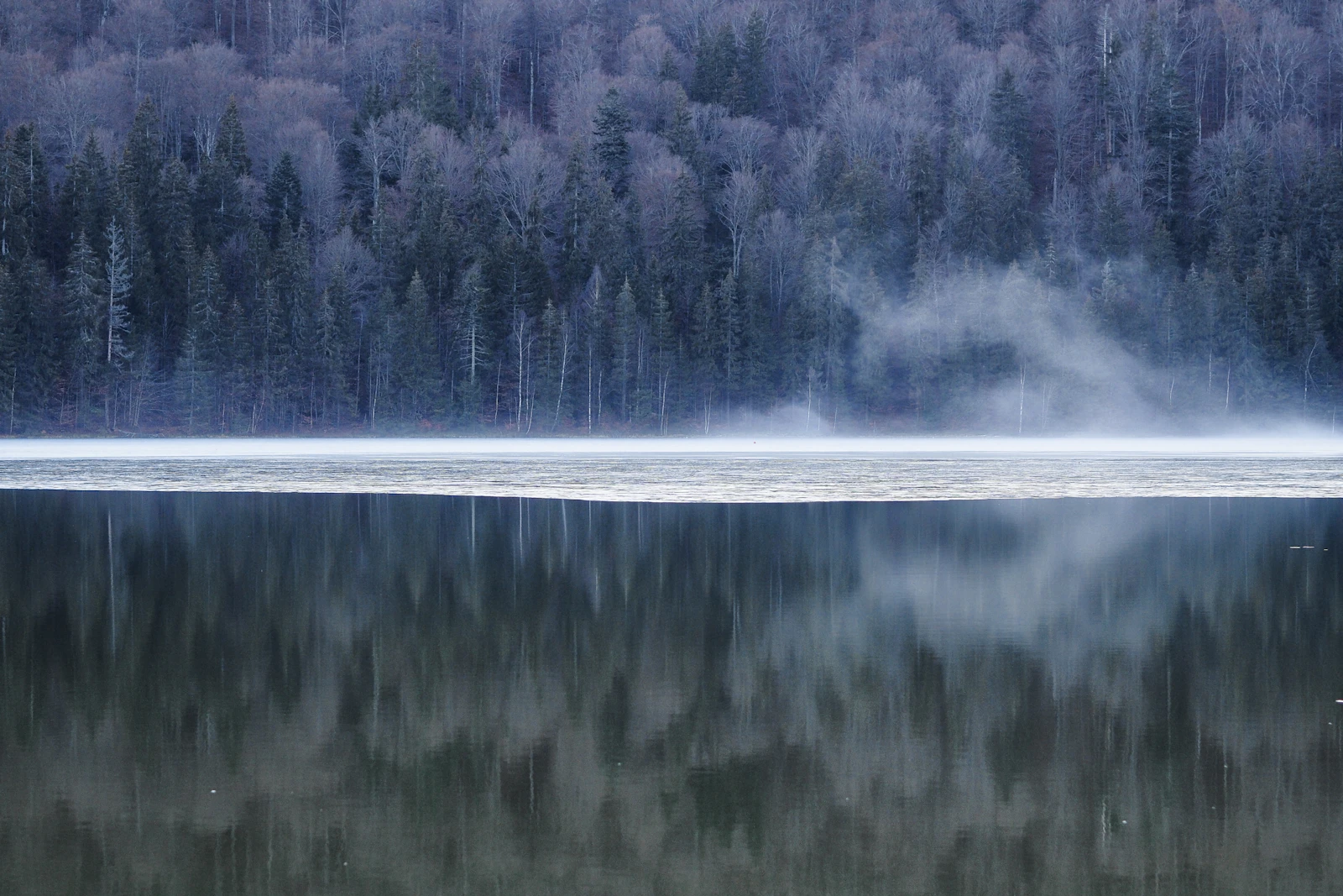 Cazare lângă Lacul Sfânta Ana: ceață peste apă și pădure, dimineața