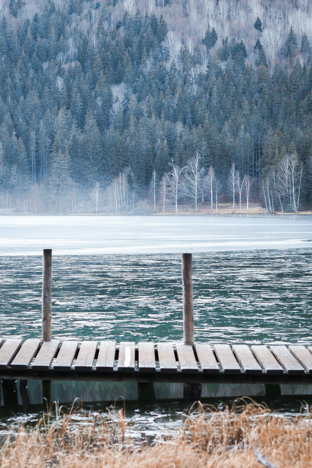 brown wooden dock on lake during daytime