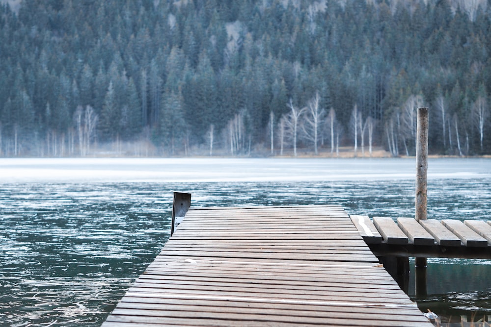 brown wooden dock on lake during daytime