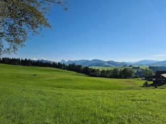A scenic view of a plot of land available for sale.