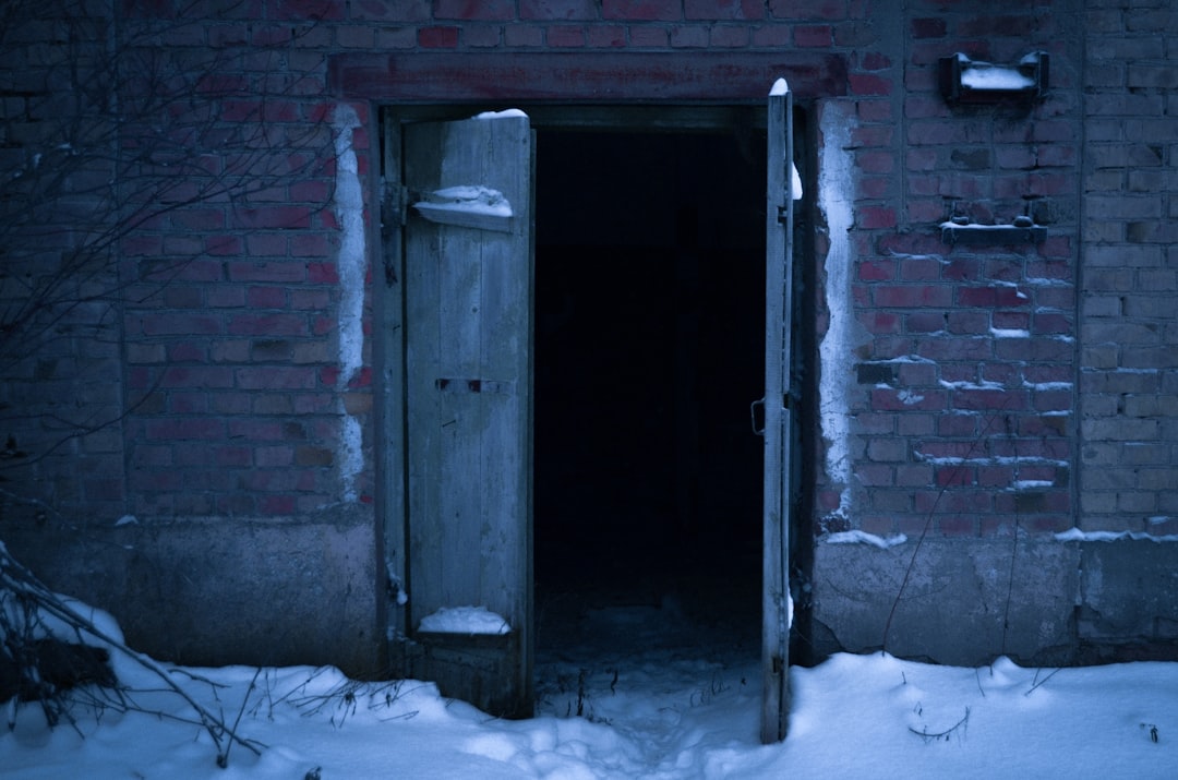 brown wooden door on snow covered ground