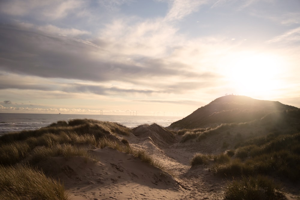 Grünes Gras auf braunem Sand unter weißen Wolken tagsüber