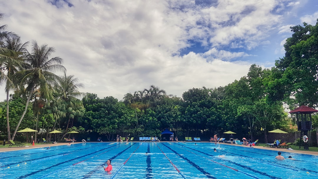 people swimming in pool during daytime