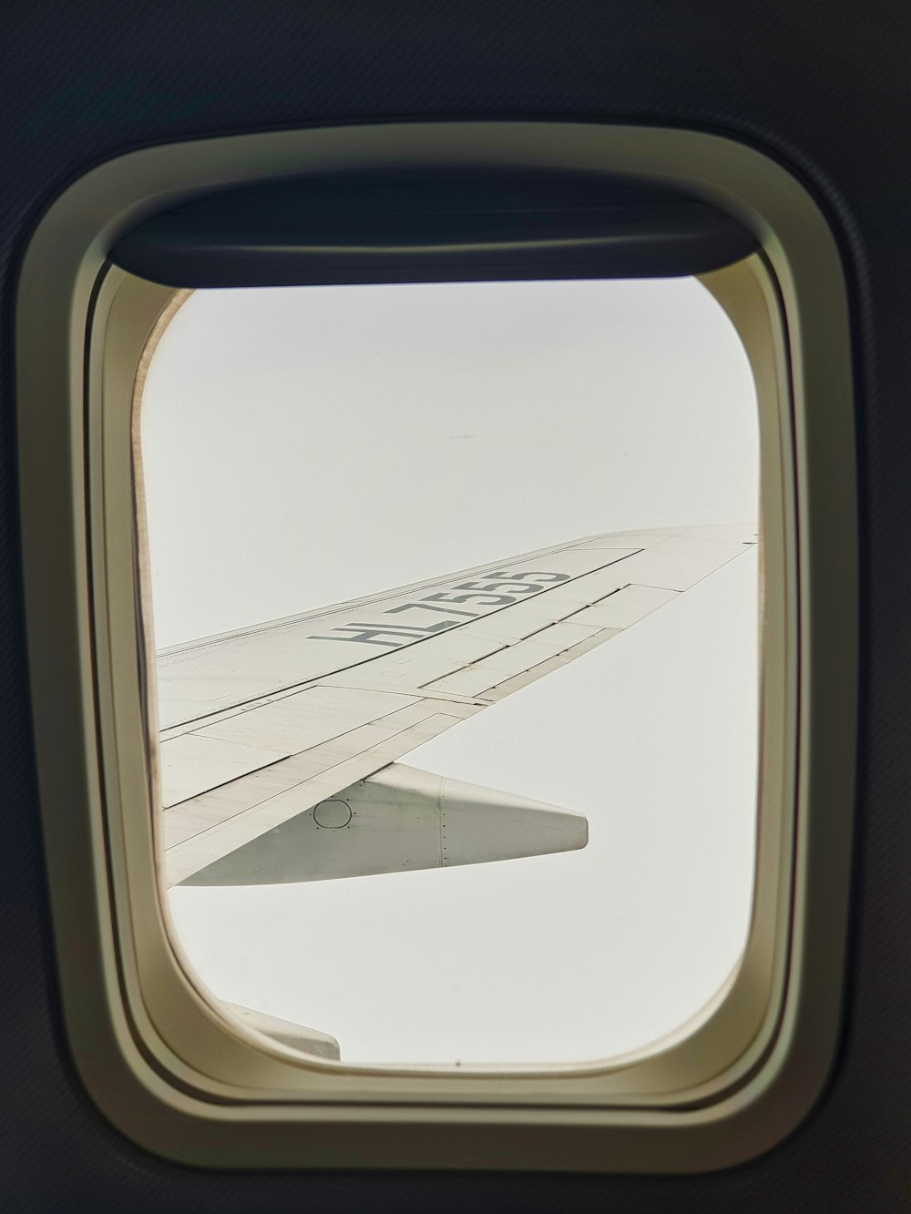 white and gray airplane wing