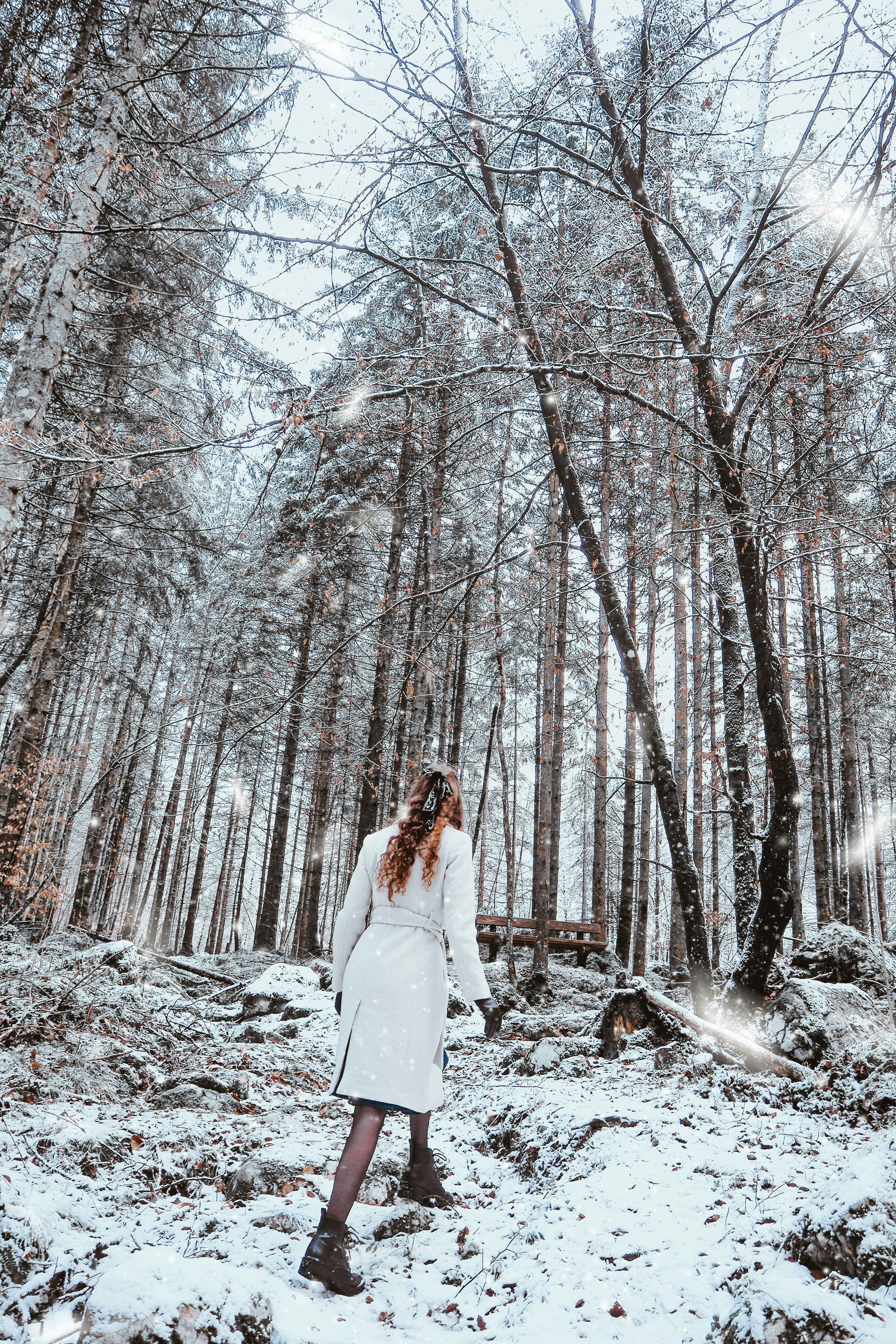 Photo by laurachouette