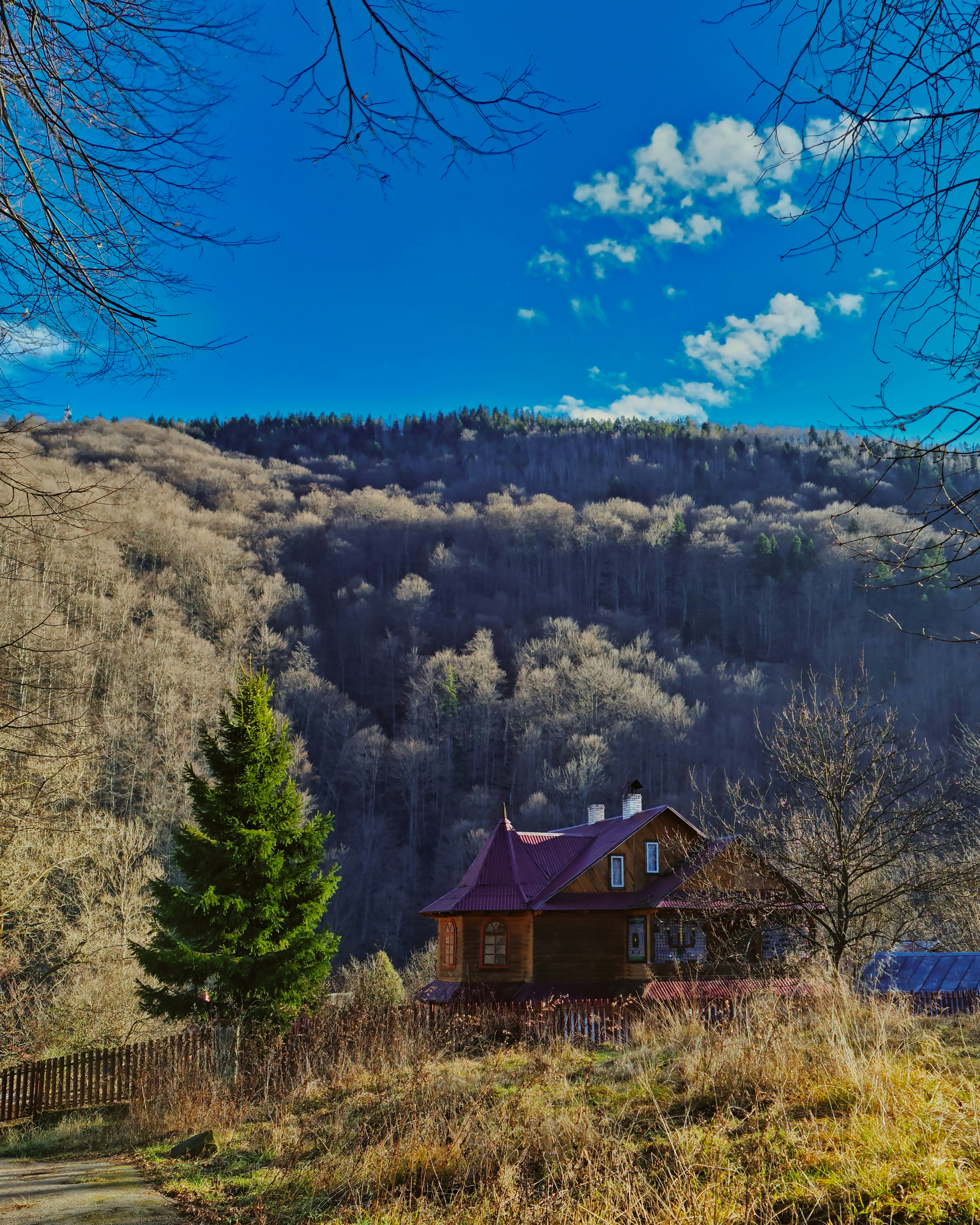 Brown wooden house near green trees during daytime photo – Free House ...