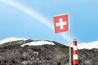 red and white cross flag on top of mountain