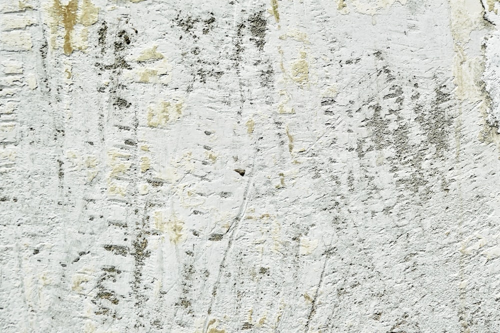 white and brown abstract painting