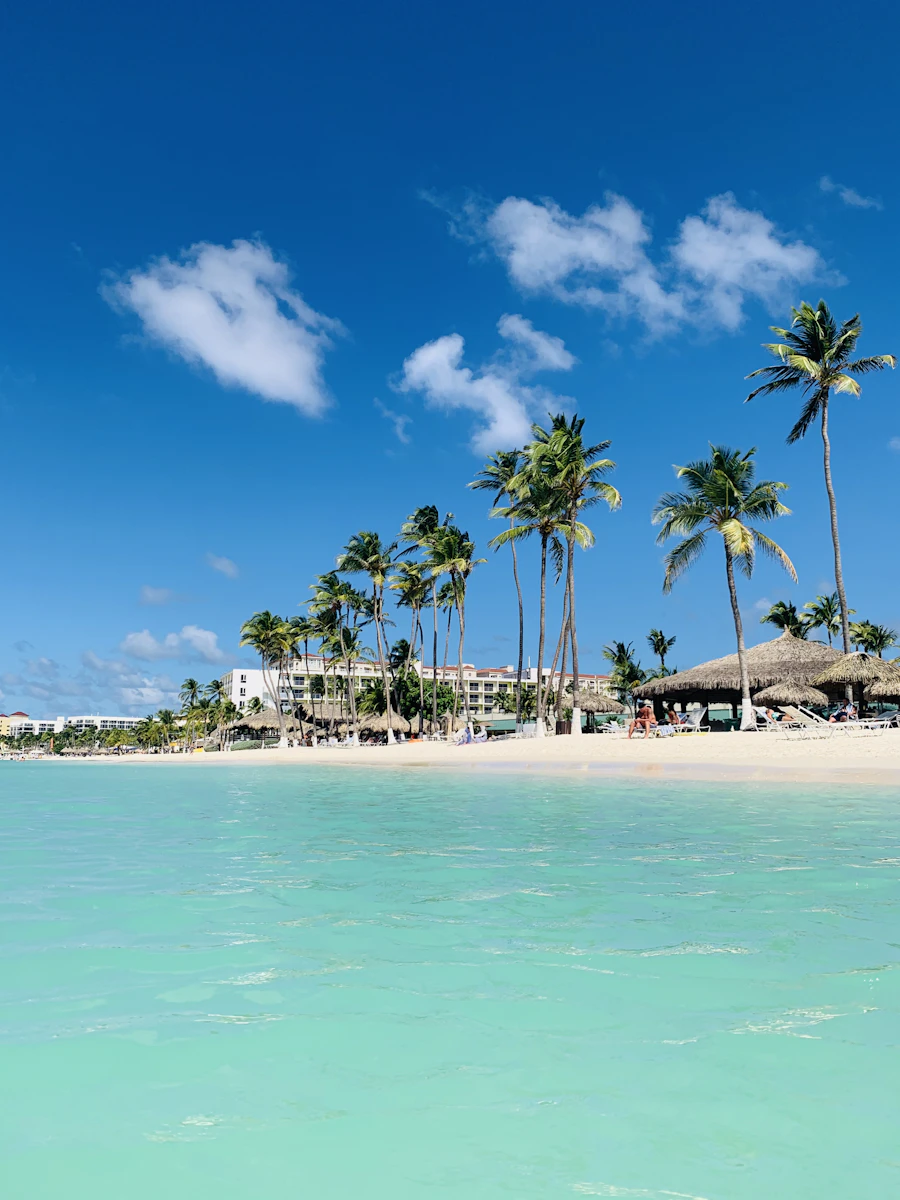 Palm trees on Aruba beach