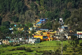 A vibrant village scene showcasing traditional houses and lush greenery.