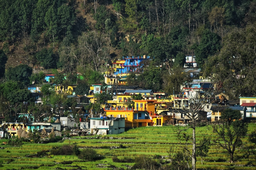 A vibrant village scene showcasing traditional houses and lush greenery.