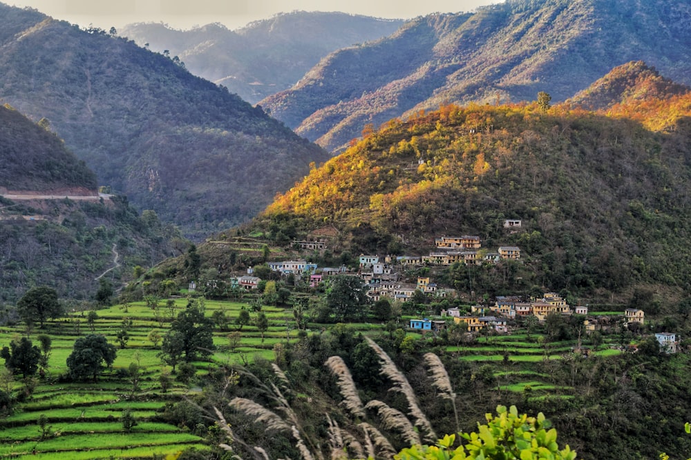 Campo de hierba verde cerca de la montaña durante el día