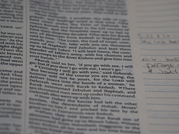 Criando um Site Moderno para Estudos Bíblicos e Devocionais