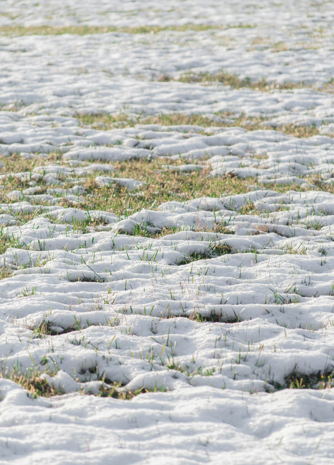 snow covered field during daytime