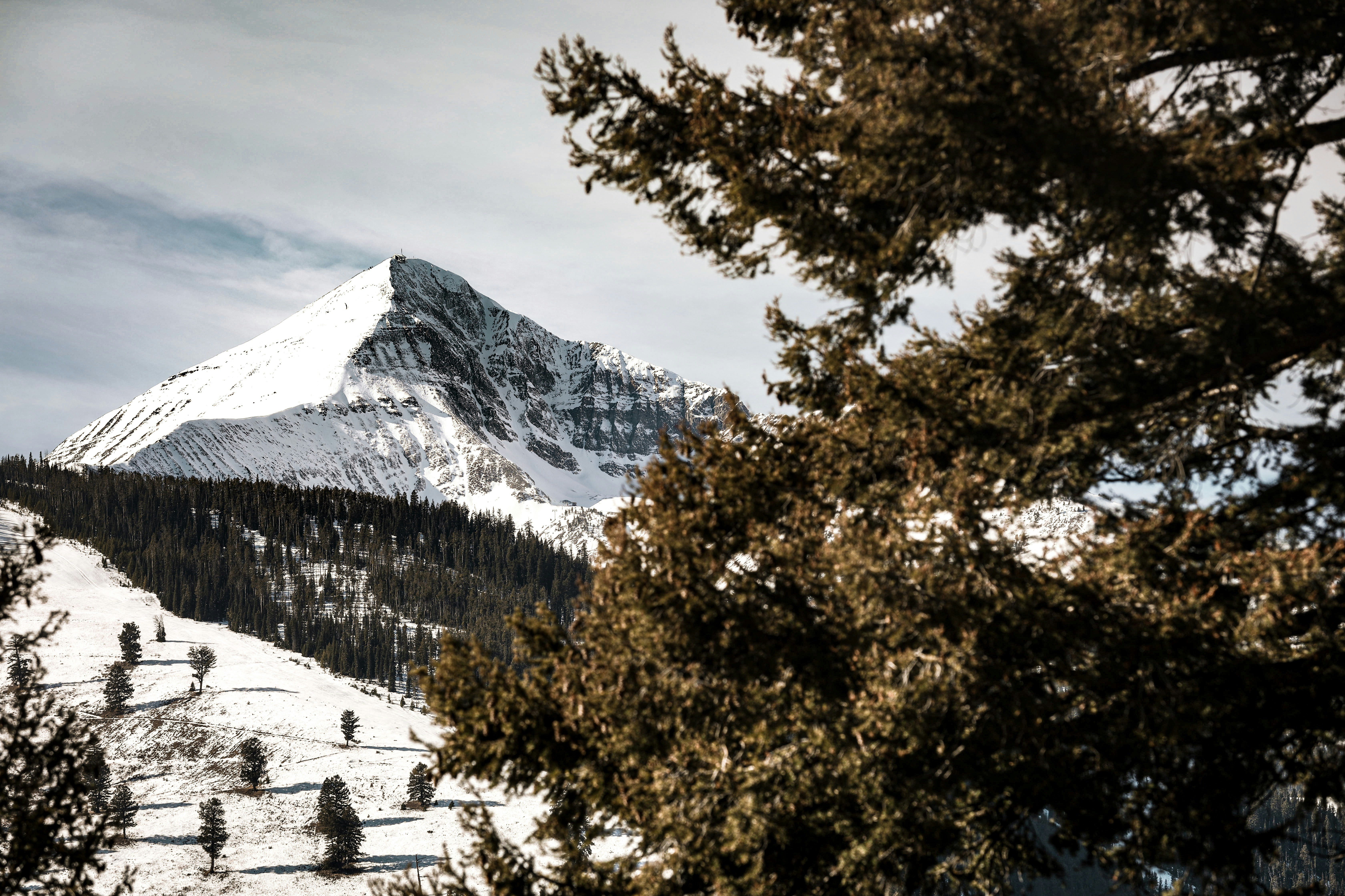 green and brown trees on snow covered mountain during daytime