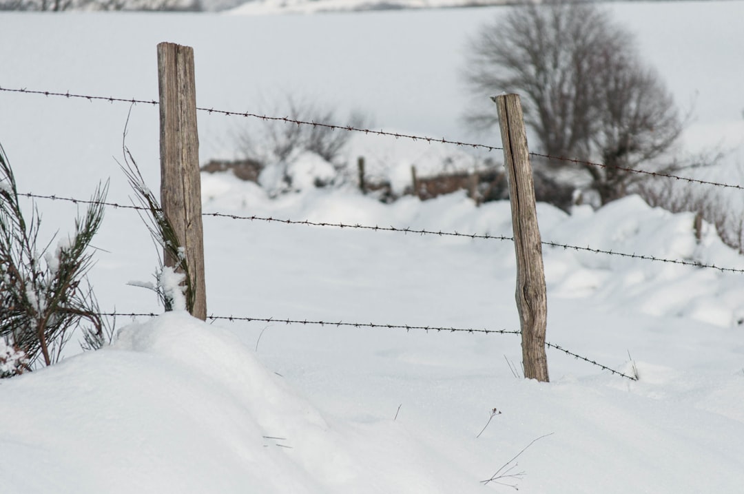 brown wooden fence on snow covered ground during daytime