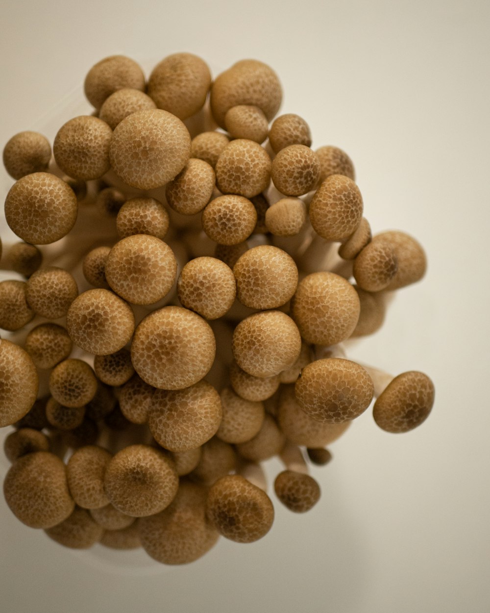 brown round fruit on white surface