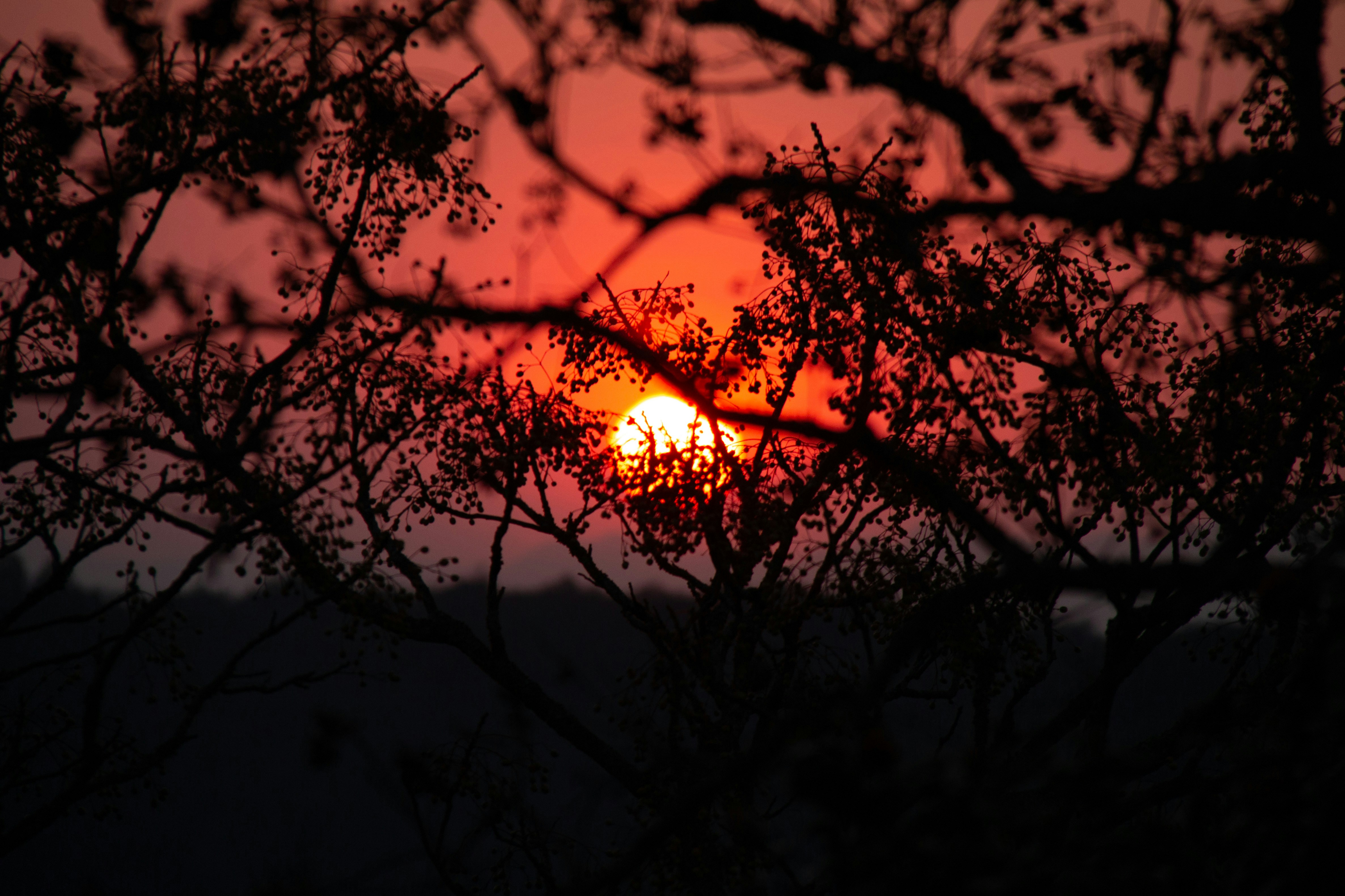 Photo by shredder2002