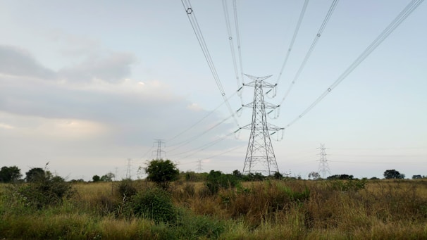 A vast landscape with tall electricity pylons extending into the distance. The scene is dominated by grassy fields with some bushes and trees scattered throughout. High voltage power lines stretch across the sky under a pale, overcast backdrop.