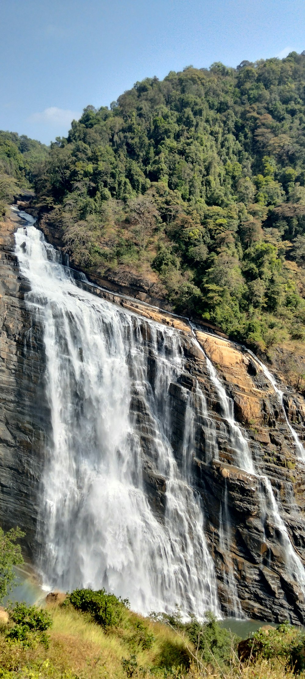 waterfalls in forest during daytime