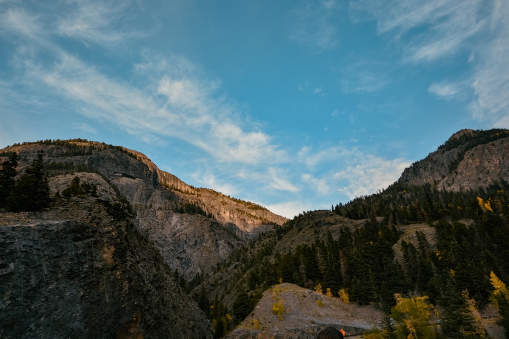 green trees on brown rocky mountain under blue sky during daytime