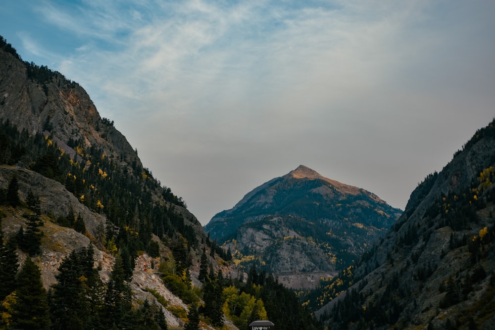 Grüne Bäume am Berg unter bewölktem Himmel tagsüber