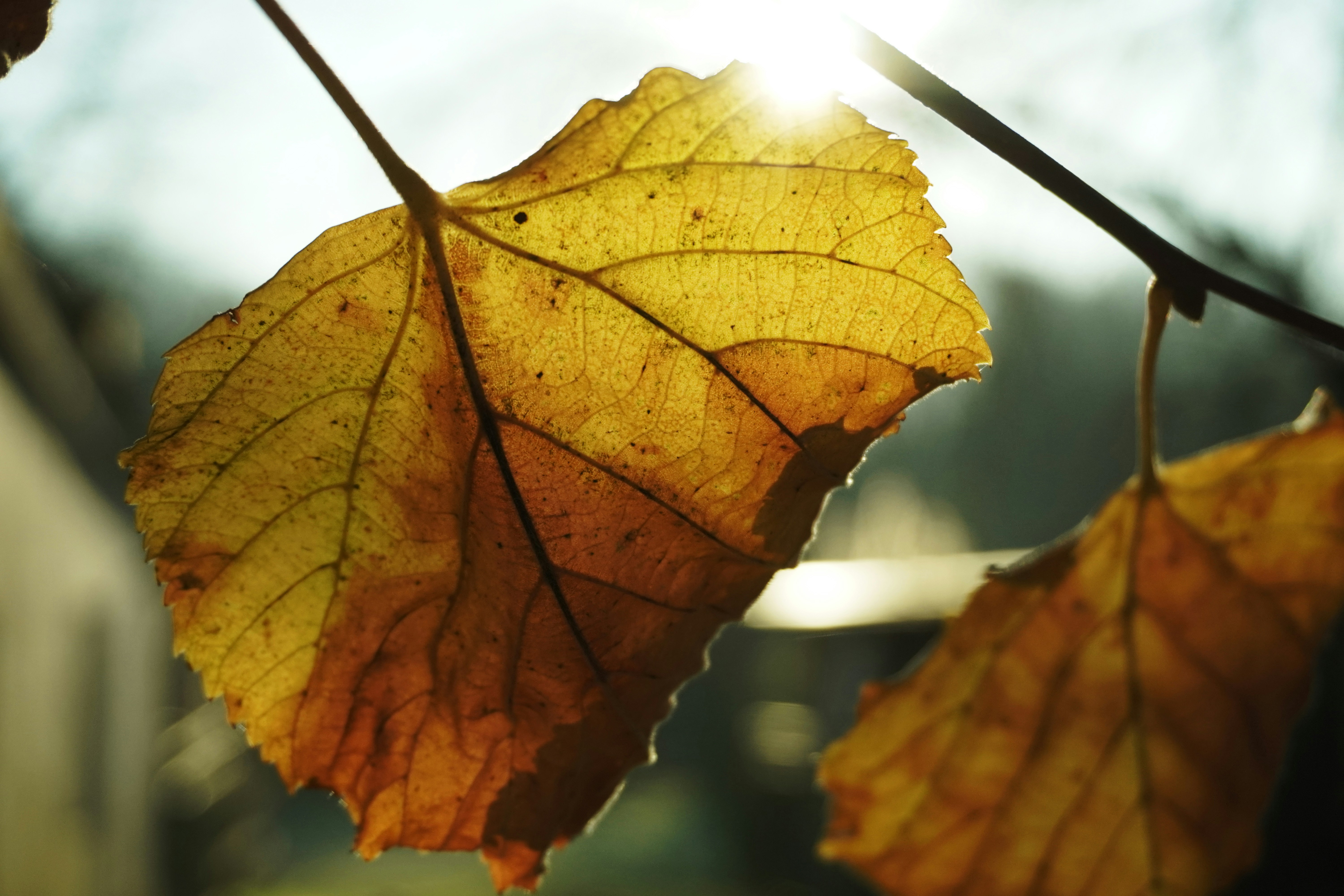 Photo by peerclassen