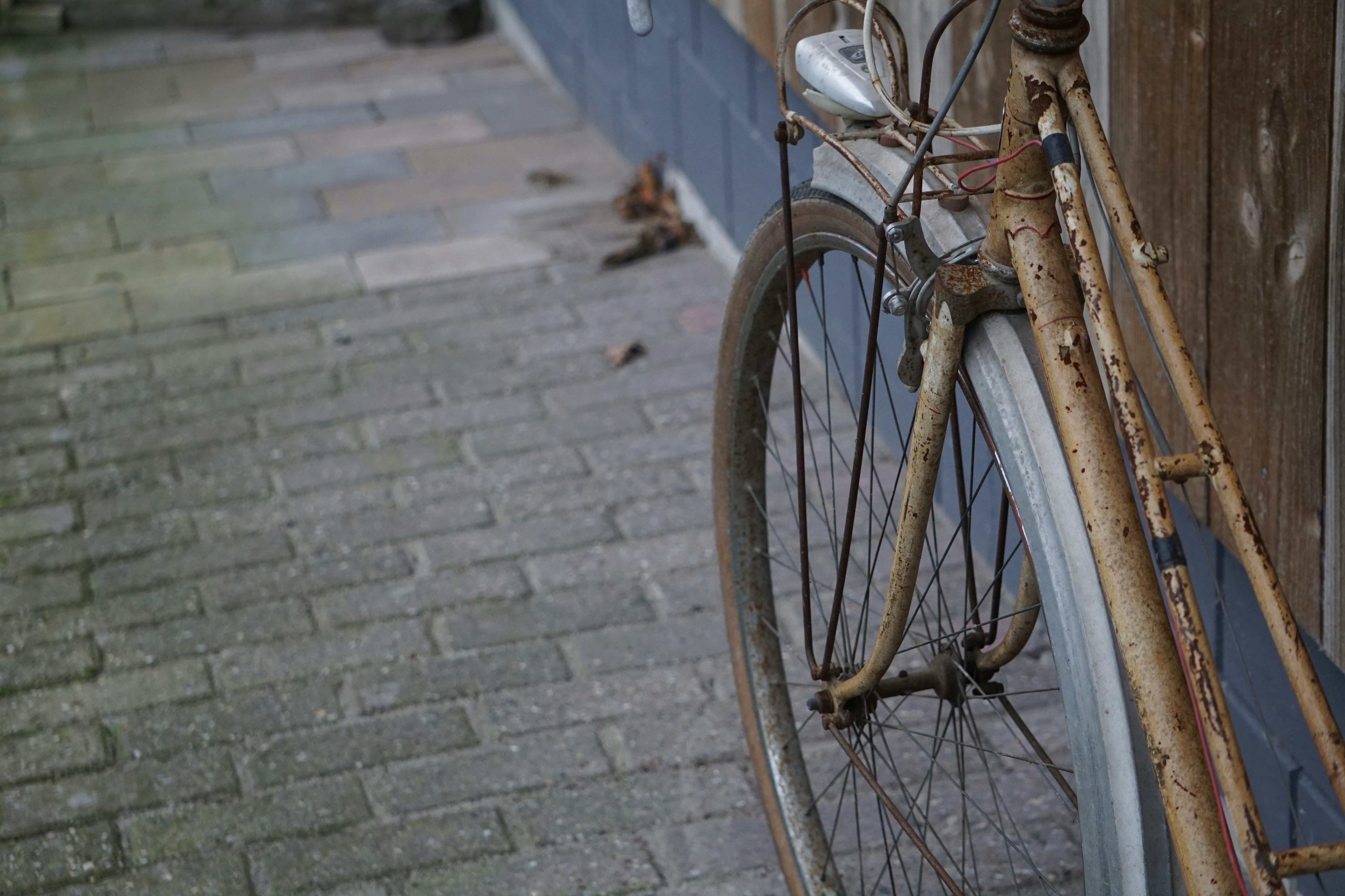 Photo by hdsfotografie95