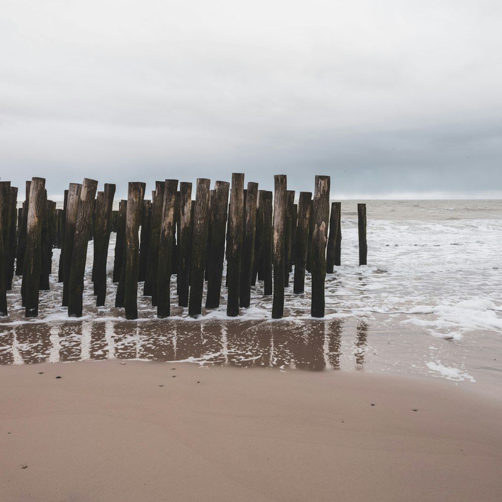 brown wooden posts on beach during daytime