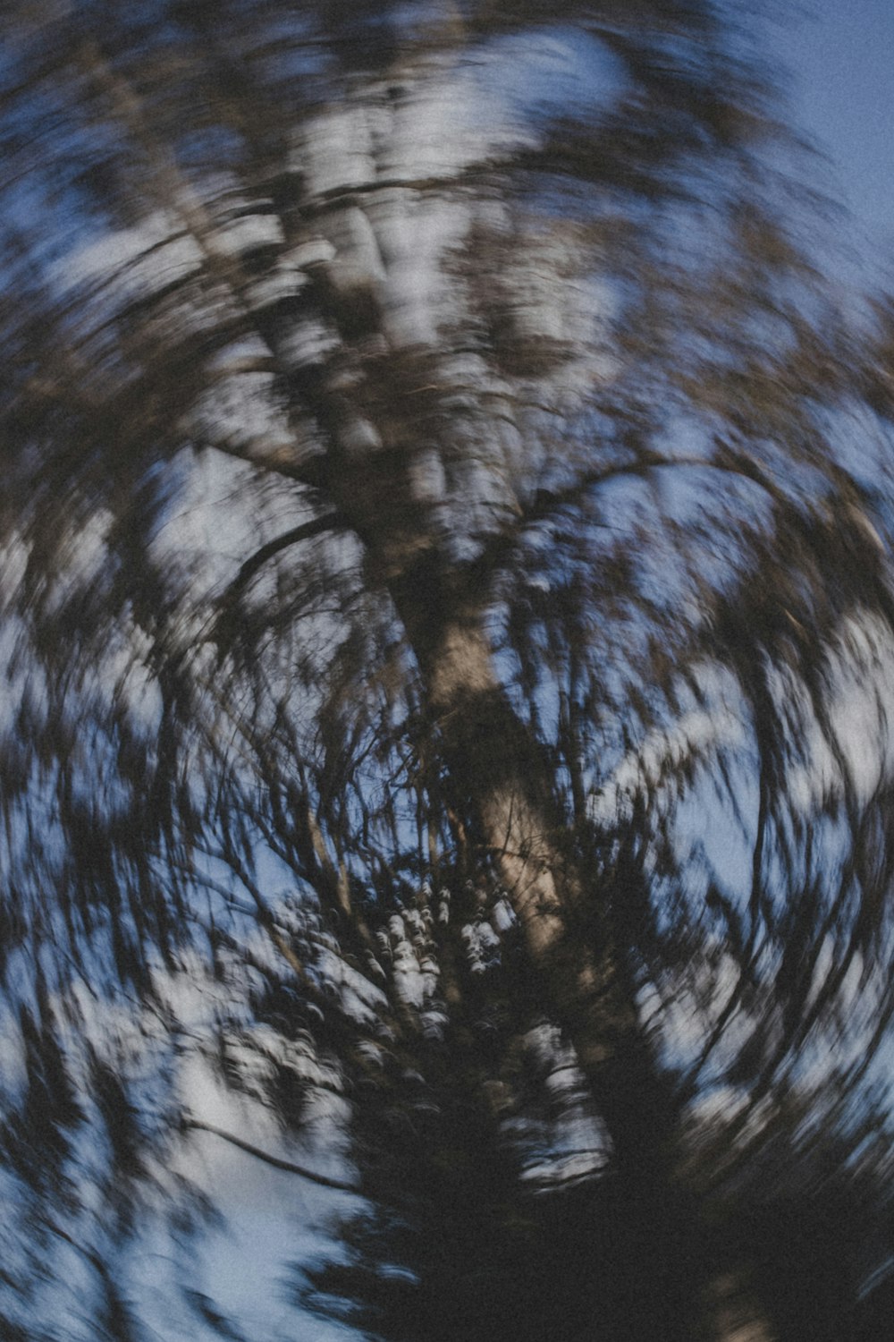 green trees under blue sky during daytime