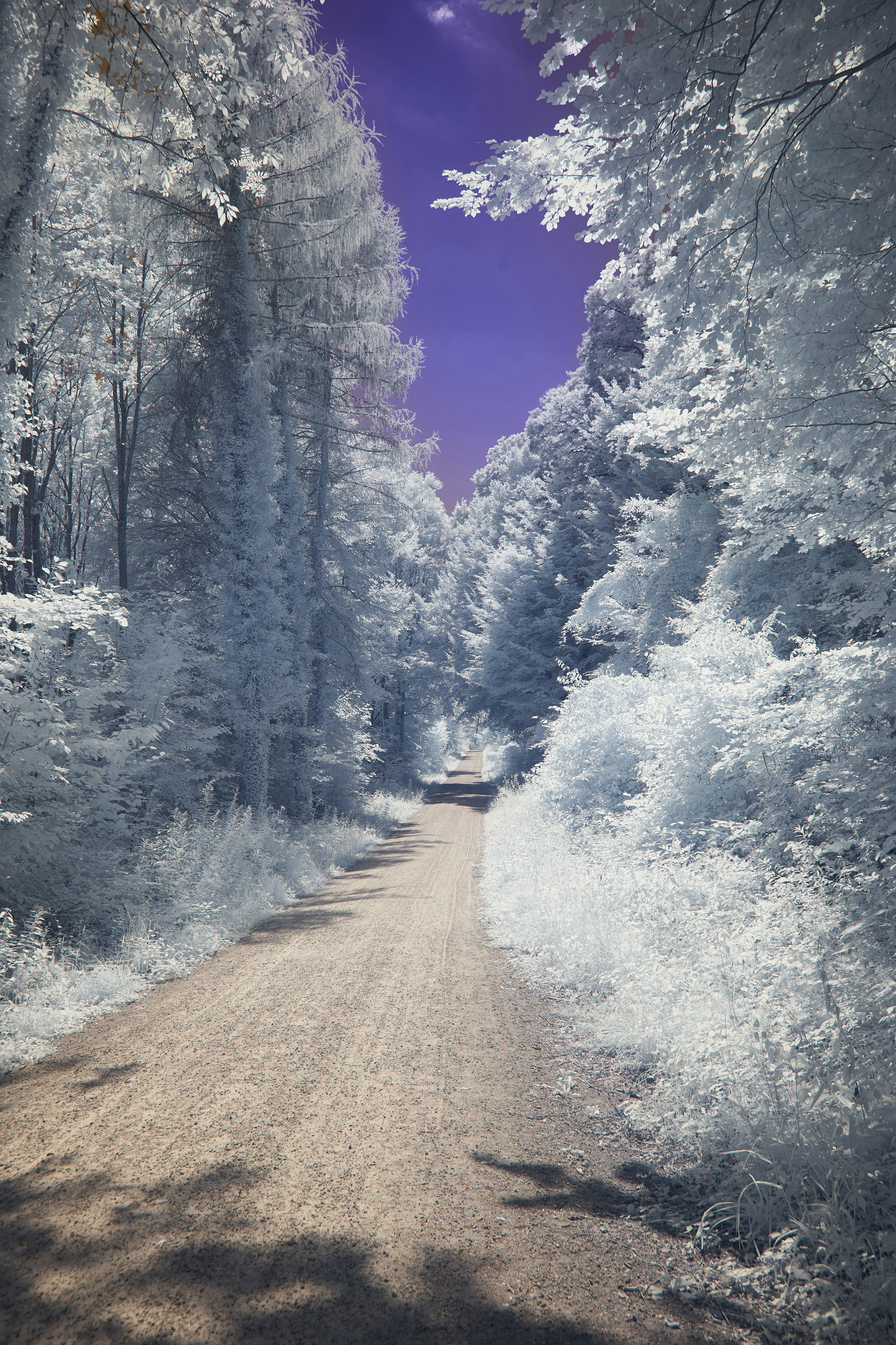 Photo by wolfgang_hasselmann