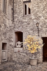 A rustic stone courtyard features a prominent potted tree with yellow leaves, creating a vivid contrast against the muted stone walls. A window with wooden frames is located near the top, while a sculpture resembling a head with hands resting on its cheeks decorates a niche in the wall. A vintage street lamp is mounted nearby, adding to the historic ambiance.