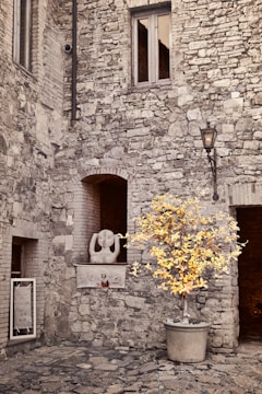 A rustic stone courtyard features a prominent potted tree with yellow leaves, creating a vivid contrast against the muted stone walls. A window with wooden frames is located near the top, while a sculpture resembling a head with hands resting on its cheeks decorates a niche in the wall. A vintage street lamp is mounted nearby, adding to the historic ambiance.