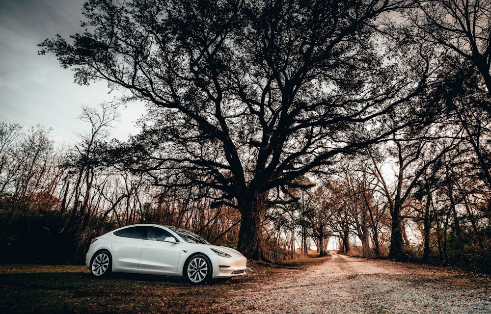 white coupe parked near trees during daytime