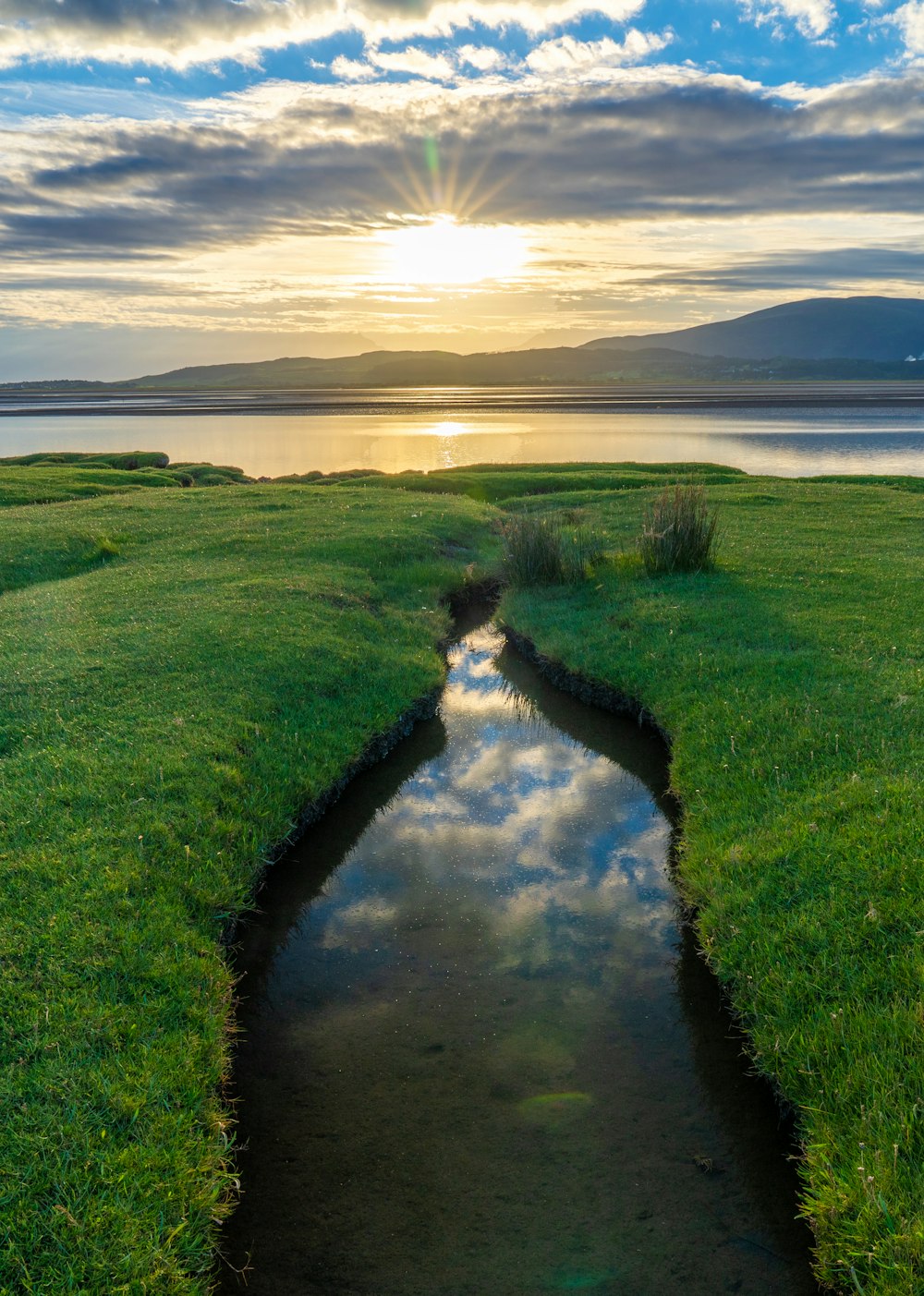 Champ d’herbe verte près d’un plan d’eau pendant la journée