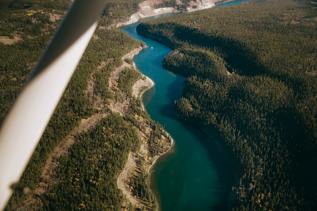 aerial view of green trees and blue sea during daytime