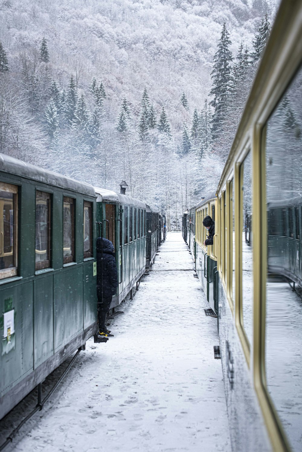 Tren amarillo y verde en las vías del tren durante el día