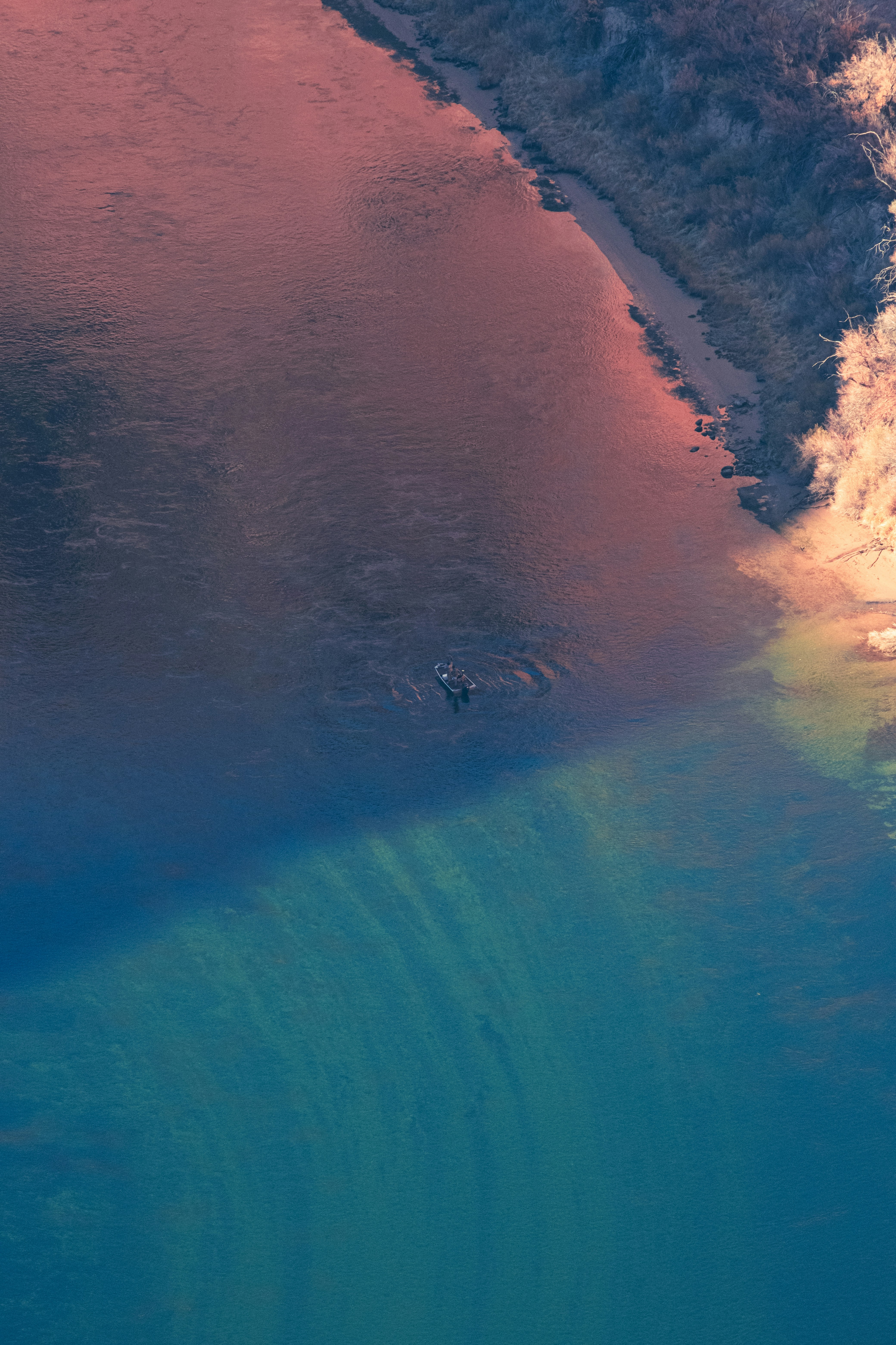 Photo by parsoakhorsand