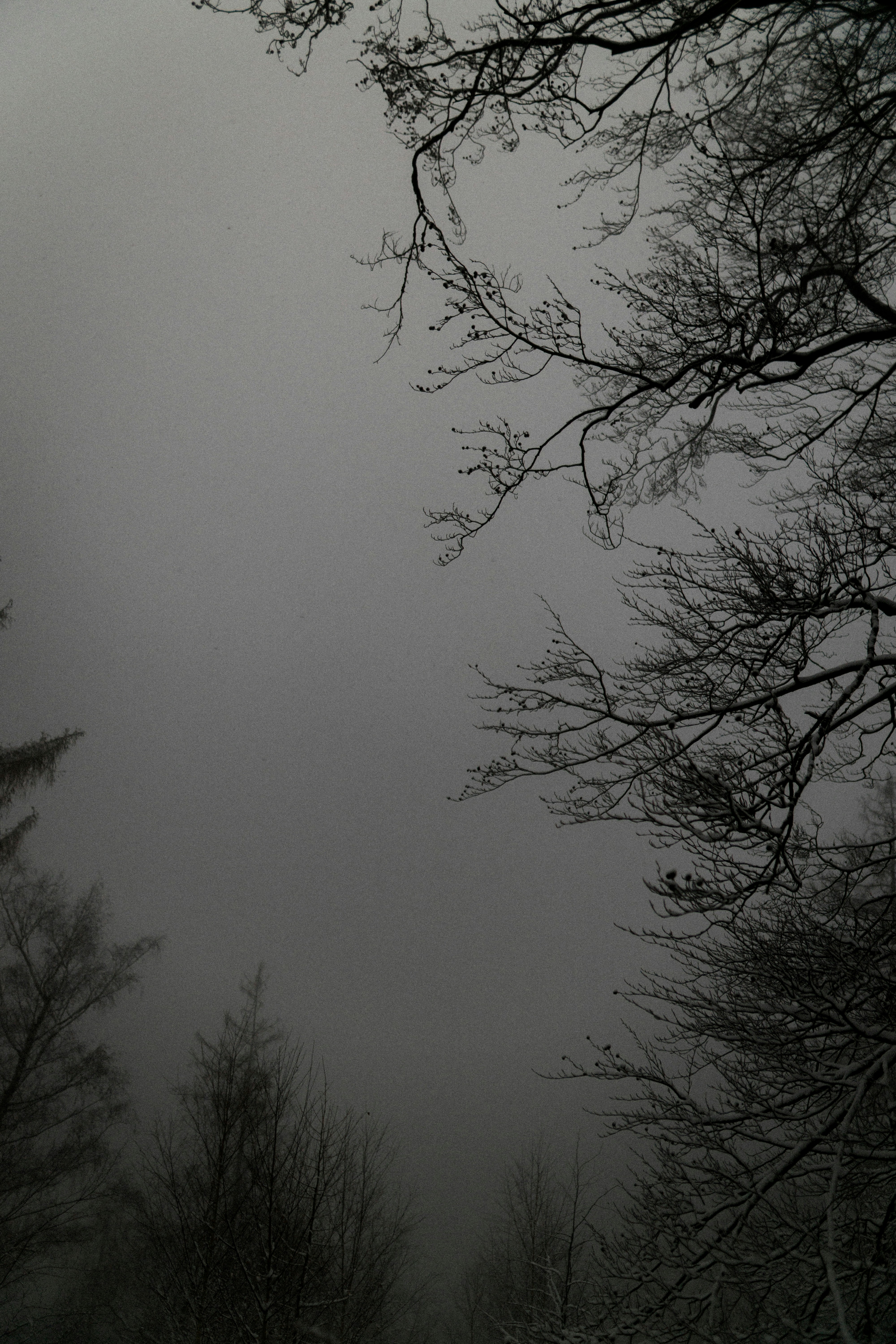 Photo by marinareich