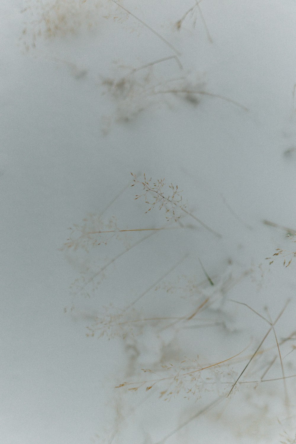 white snow on brown wooden table