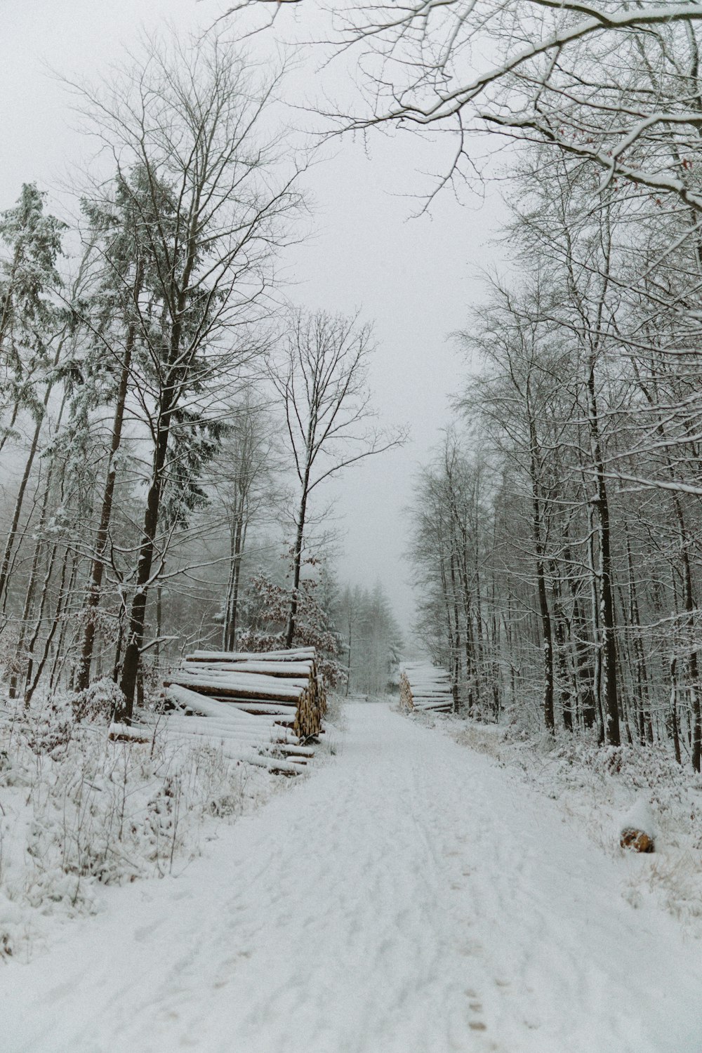 brown wooden bench on snow covered ground