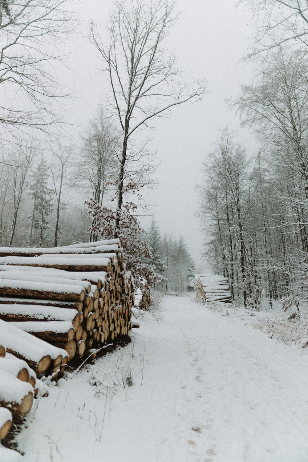 brown wooden logs on snow covered ground