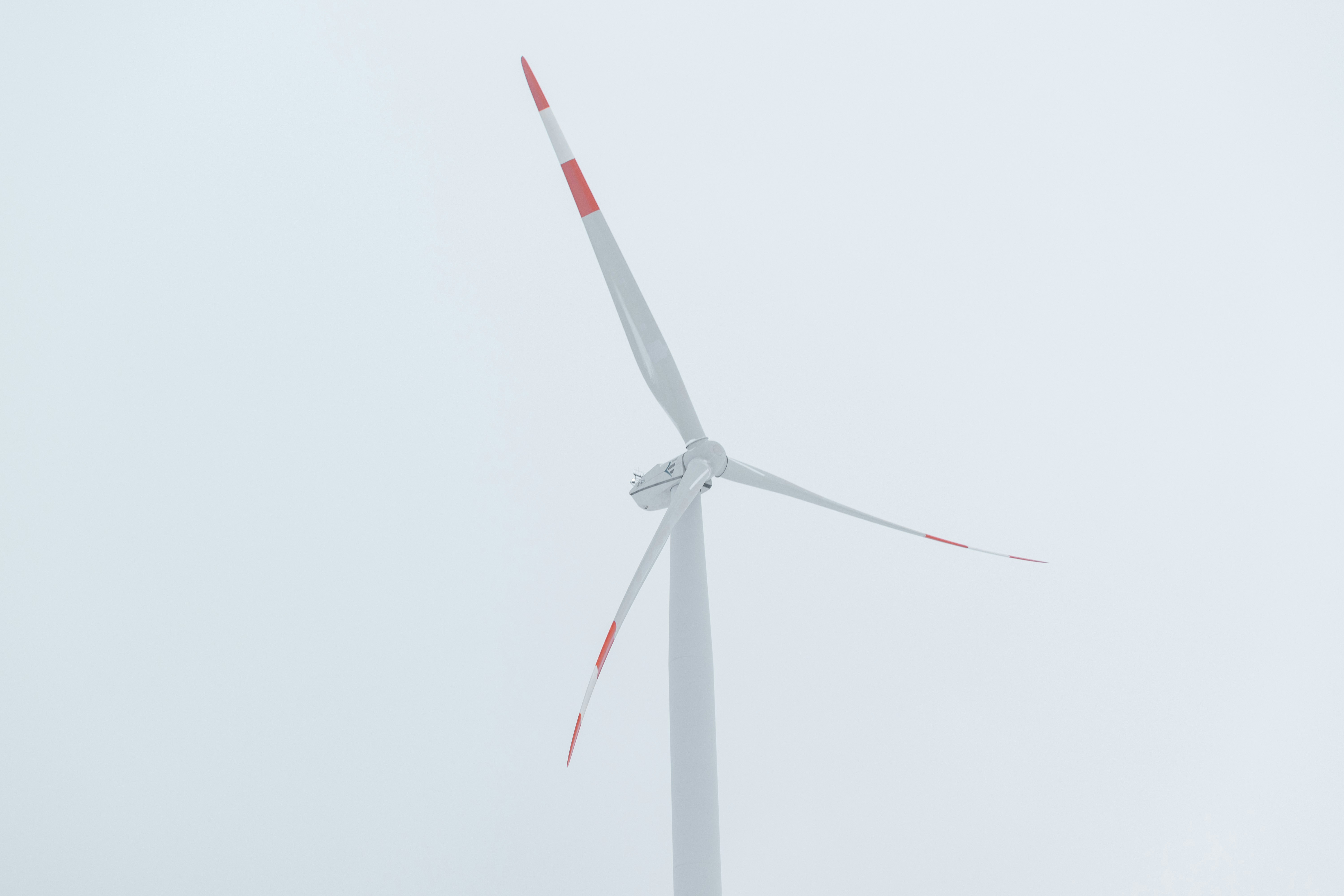 The Impact of Backlinks on Search Engine Rankings