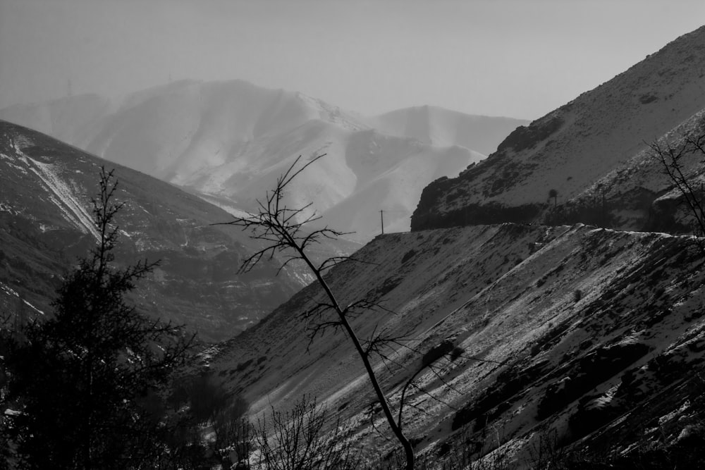 grayscale photo of mountains and trees