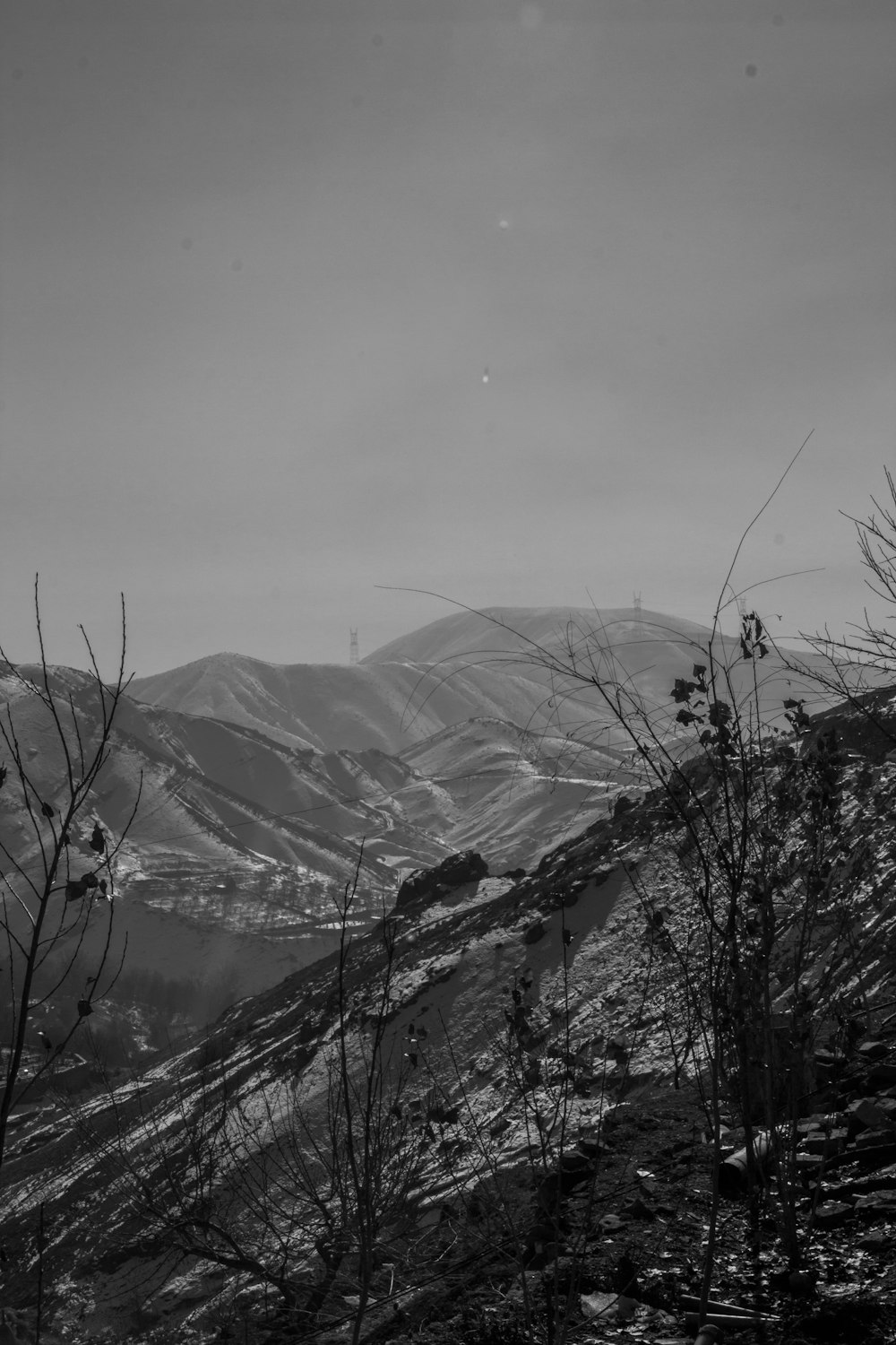 grayscale photo of mountains and trees