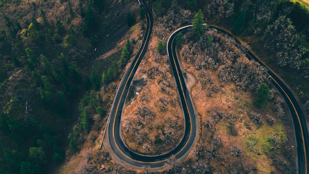 aerial view of road in the middle of forest